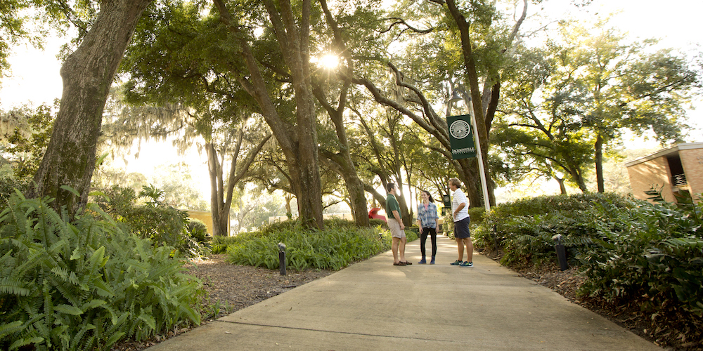 Students standing on a pathway on JU's tree-lined campus