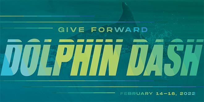 Dolphin Dash banner for 2022