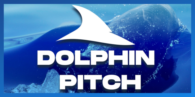 dolphin pitch graphic