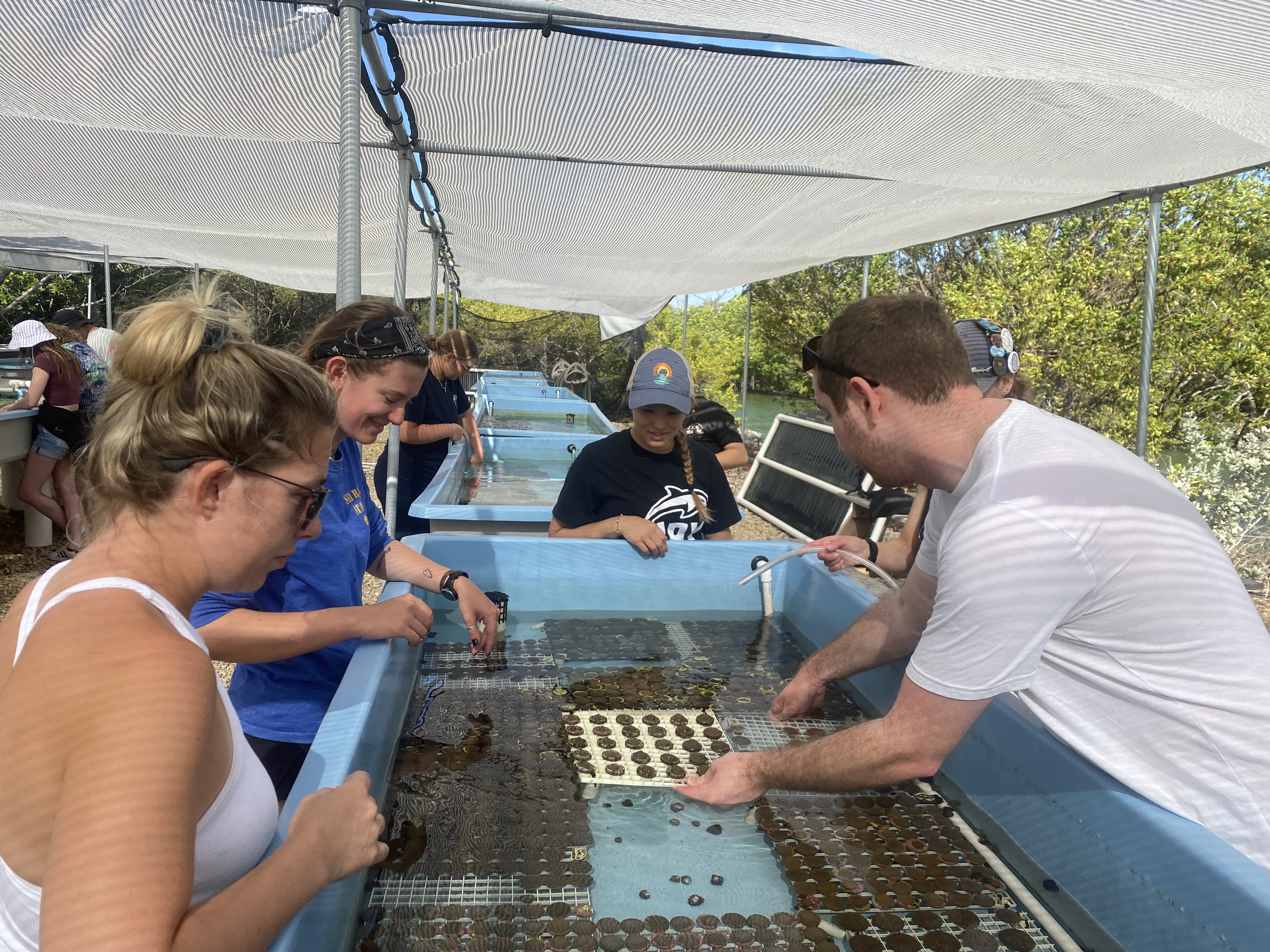 students experiment with corals