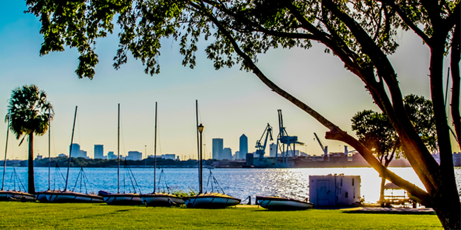 The shore of the St. Johns River along the University waterfront.