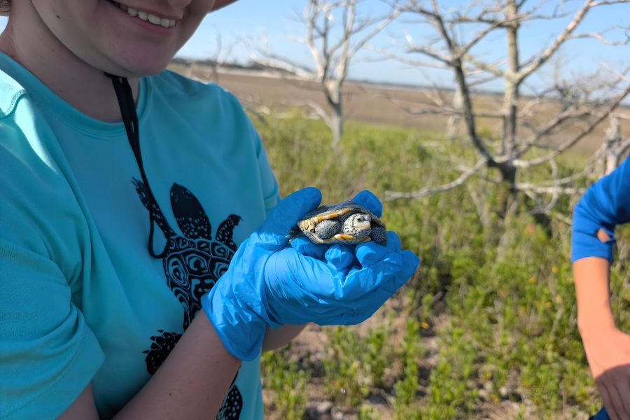 Student holding a terrapin turtle