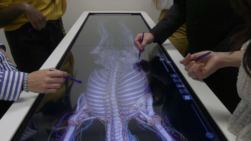digital anatomy table
