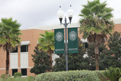 Jacksonville University