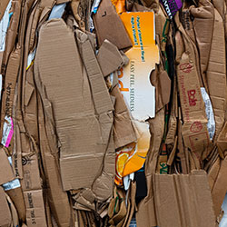Cardboard