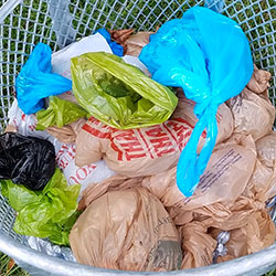 Plastic bags