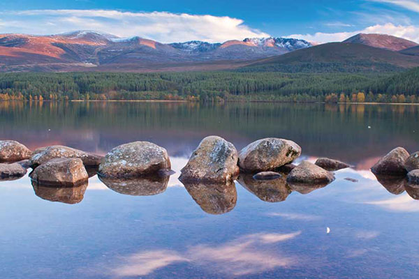 International Marketing and Organizational Behavior in Scotland